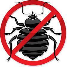 Exterminate Bed Bugs Houston Bed Bugs Control