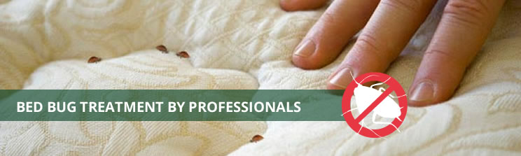 HOUSTON COMMERCIAL BED BUG TREATMENT