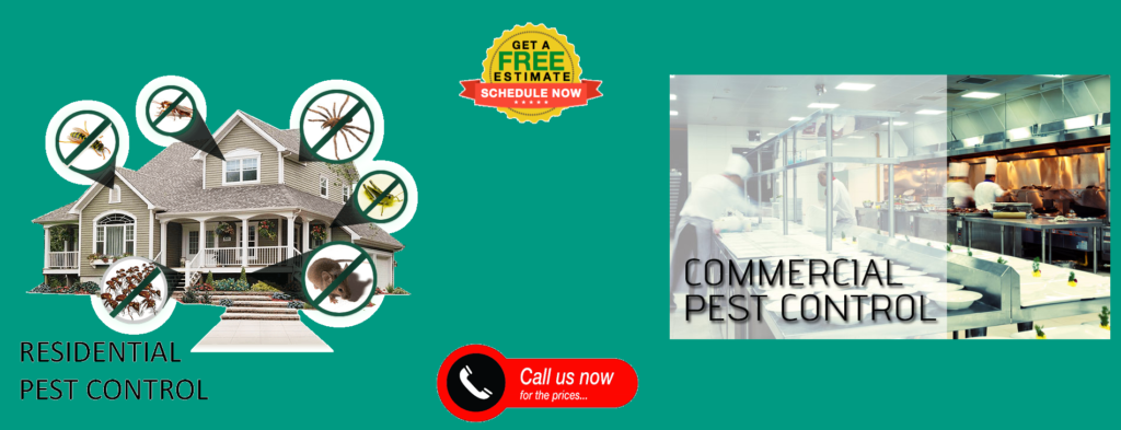 Houston Pest Control Bug N Out Houston Pest Control | (281) 786-9939