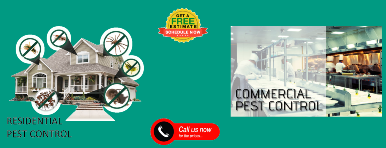Houston Pest Control - Houston Pest Control Bug N Out